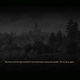 Illustration for article titled Everything* In The Witcher 3, Ranked